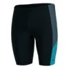 Speedo Dive Jammer Badehose Schwarz/blau 1 Speedo Dive Jammer Badehose Schwarz/blau -Speedo Verkaufsgeschäft so 8 12826f902 001